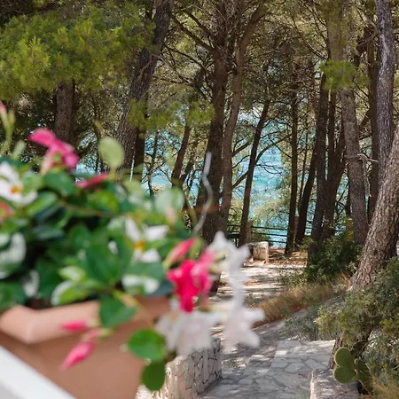 Lavica Seaside Apartments, Podstrana Exterior photo