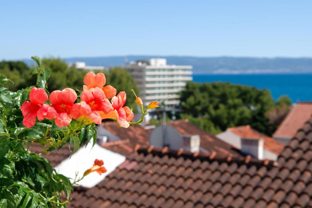 Apartment Lavica Seaside Apartments, Podstrana
